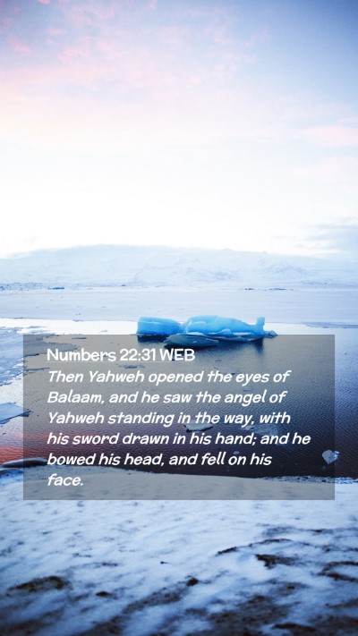 Picture 02 - Numbers 22:31 WEB Mobile Phone Wallpaper - Then Yahweh opened the eyes of Balaam, and he saw - Mobile Bible Verse Wallpaper