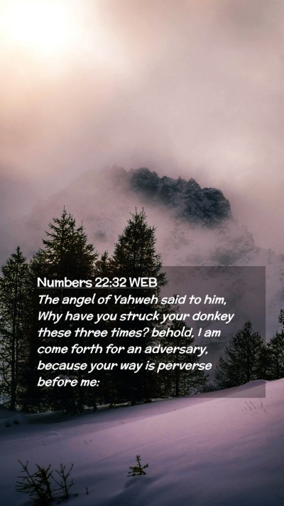 Picture 02 - Numbers 22:32 WEB Mobile Phone Wallpaper - The angel of Yahweh said to him, Why have you - Mobile Bible Verse Wallpaper