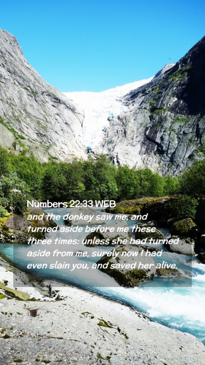 Picture 02 - Numbers 22:33 WEB Mobile Phone Wallpaper - and the donkey saw me, and turned aside before me - Mobile Bible Verse Wallpaper
