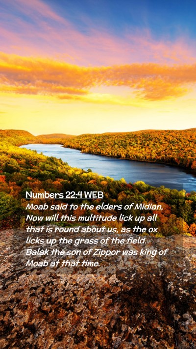 Picture 02 - Numbers 22:4 WEB Mobile Phone Wallpaper - Moab said to the elders of Midian, Now will this - Mobile Bible Verse Wallpaper