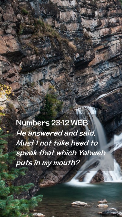 Picture 02 - Numbers 23:12 WEB Mobile Phone Wallpaper - He answered and said, Must I not take heed to - Mobile Bible Verse Wallpaper
