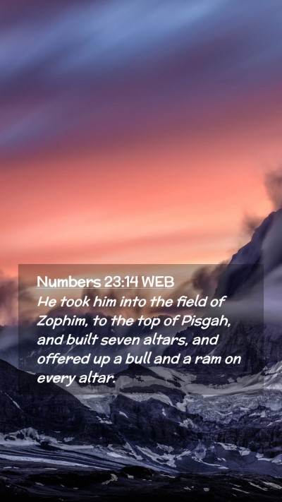 Picture 02 - Numbers 23:14 WEB Mobile Phone Wallpaper - He took him into the field of Zophim, to the top - Mobile Bible Verse Wallpaper