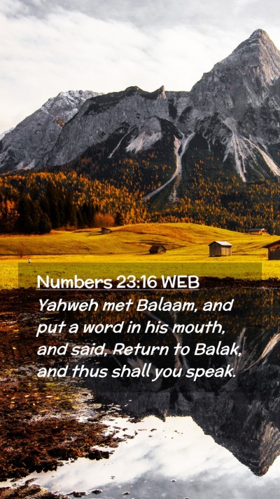 Picture 02 - Numbers 23:16 WEB Mobile Phone Wallpaper - Yahweh met Balaam, and put a word in his mouth, - Mobile Bible Verse Wallpaper