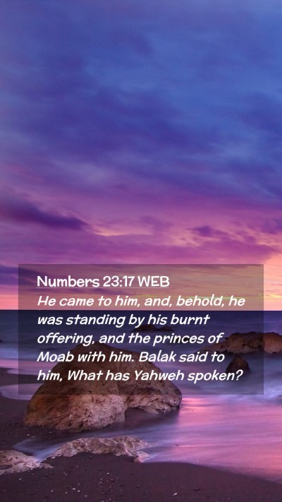Picture 02 - Numbers 23:17 WEB Mobile Phone Wallpaper - He came to him, and, behold, he was standing by - Mobile Bible Verse Wallpaper