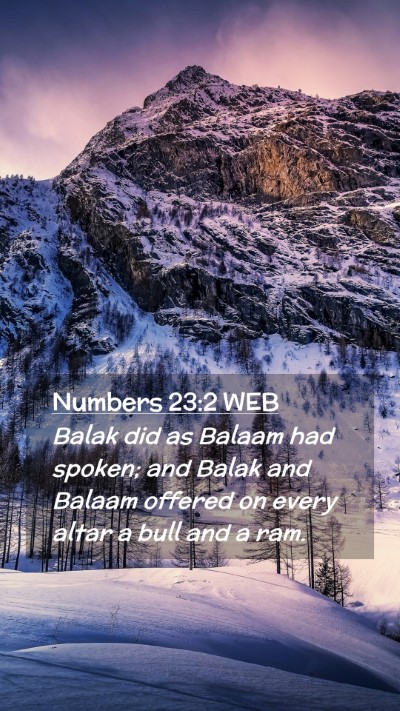 Picture 02 - Numbers 23:2 WEB Mobile Phone Wallpaper - Balak did as Balaam had spoken; and Balak and - Mobile Bible Verse Wallpaper