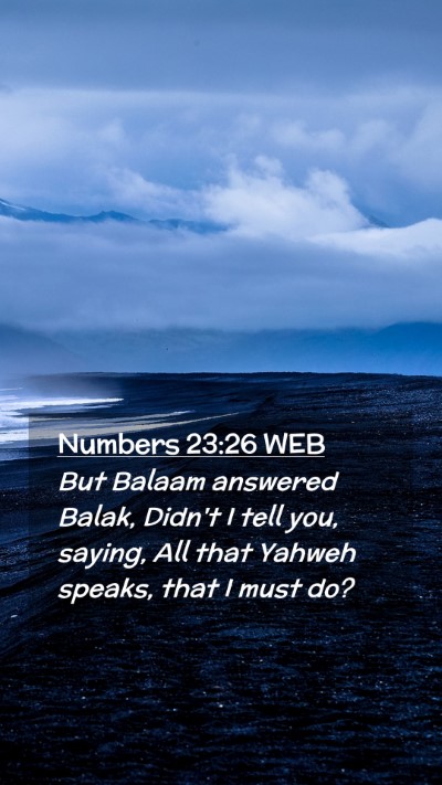 Picture 02 - Numbers 23:26 WEB Mobile Phone Wallpaper - But Balaam answered Balak, Didn't I tell you, - Mobile Bible Verse Wallpaper