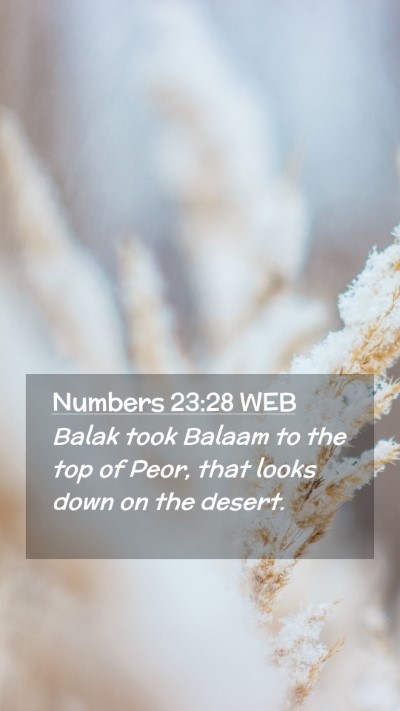 Picture 02 - Numbers 23:28 WEB Mobile Phone Wallpaper - Balak took Balaam to the top of Peor, that looks - Mobile Bible Verse Wallpaper