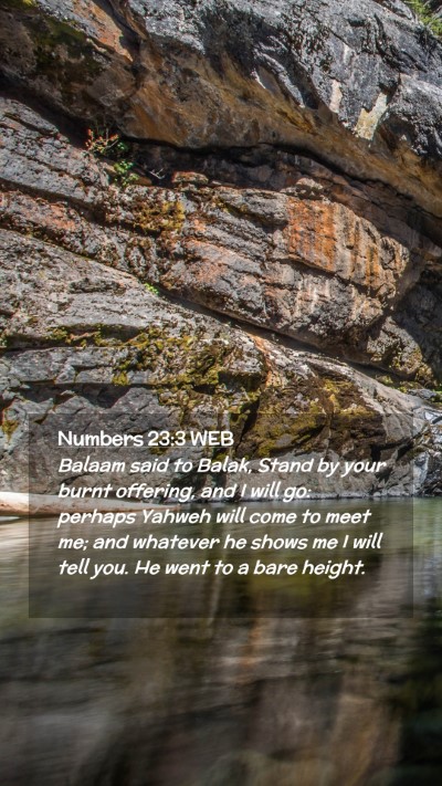 Picture 02 - Numbers 23:3 WEB Mobile Phone Wallpaper - Balaam said to Balak, Stand by your burnt - Mobile Bible Verse Wallpaper