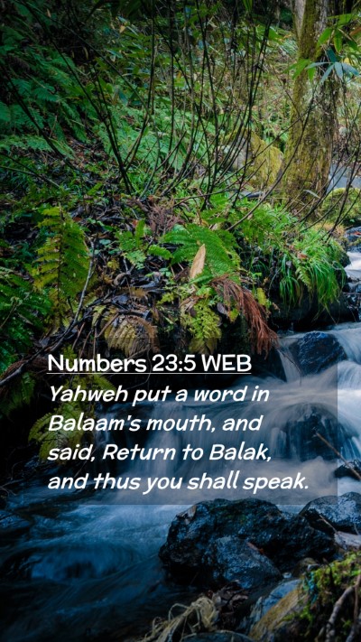 Picture 02 - Numbers 23:5 WEB Mobile Phone Wallpaper - Yahweh put a word in Balaam's mouth, and said, - Mobile Bible Verse Wallpaper