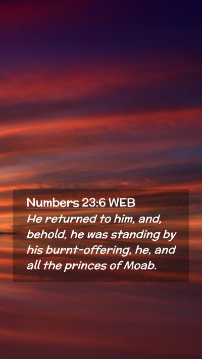 Picture 02 - Numbers 23:6 WEB Mobile Phone Wallpaper - He returned to him, and, behold, he was standing - Mobile Bible Verse Wallpaper