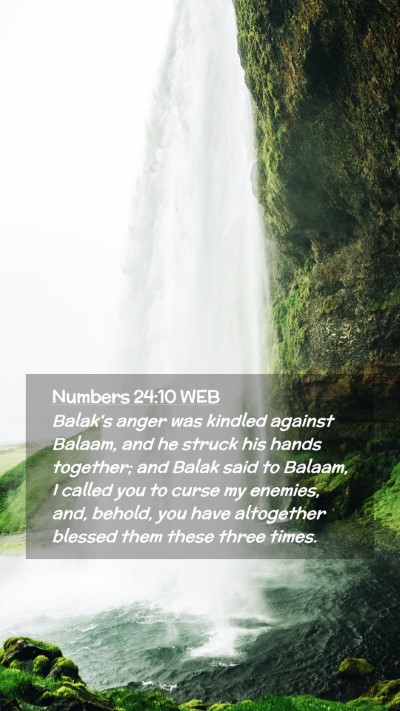 Picture 02 - Numbers 24:10 WEB Mobile Phone Wallpaper - Balak's anger was kindled against Balaam, and he - Mobile Bible Verse Wallpaper