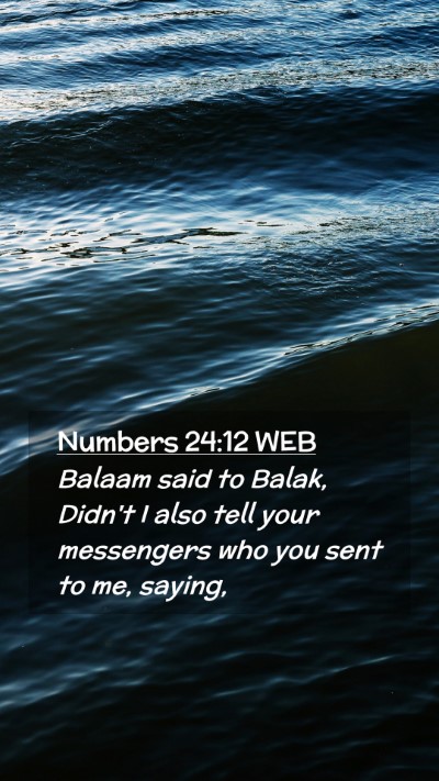 Picture 02 - Numbers 24:12 WEB Mobile Phone Wallpaper - Balaam said to Balak, Didn't I also tell your - Mobile Bible Verse Wallpaper