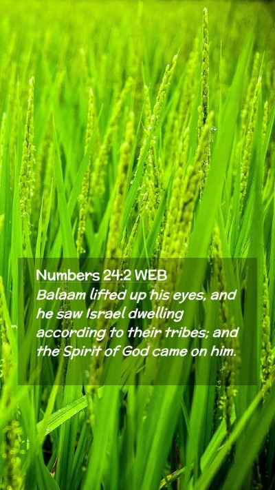 Picture 02 - Numbers 24:2 WEB Mobile Phone Wallpaper - Balaam lifted up his eyes, and he saw Israel - Mobile Bible Verse Wallpaper