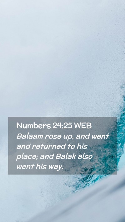 Picture 02 - Numbers 24:25 WEB Mobile Phone Wallpaper - Balaam rose up, and went and returned to his - Mobile Bible Verse Wallpaper