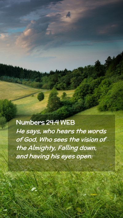 Picture 02 - Numbers 24:4 WEB Mobile Phone Wallpaper - He says, who hears the words of God, Who sees the - Mobile Bible Verse Wallpaper