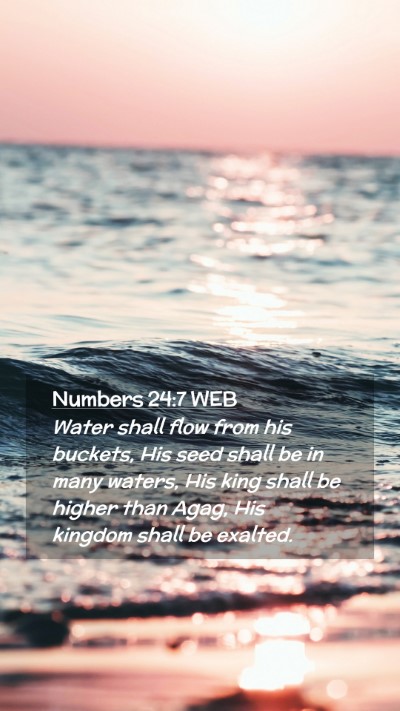 Picture 02 - Numbers 24:7 WEB Mobile Phone Wallpaper - Water shall flow from his buckets, His seed shall - Mobile Bible Verse Wallpaper