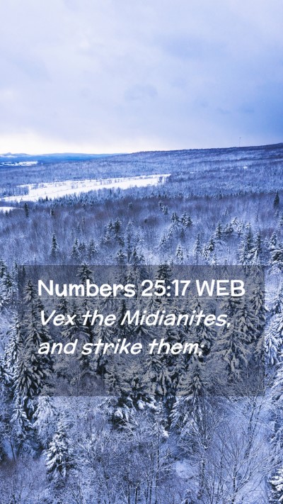 Picture 02 - Numbers 25:17 WEB Mobile Phone Wallpaper - Vex the Midianites, and strike - Mobile Bible Verse Wallpaper