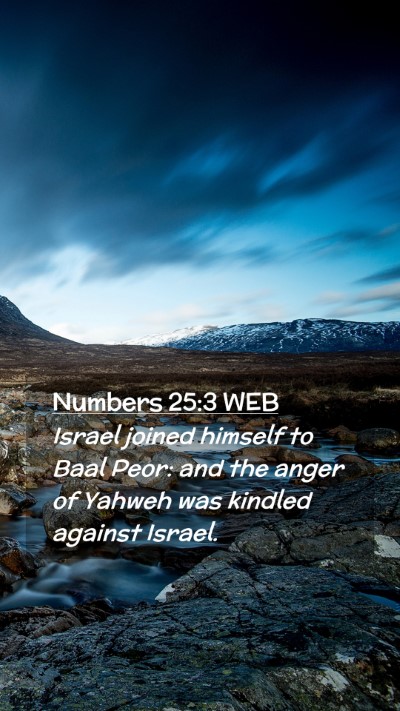 Picture 02 - Numbers 25:3 WEB Mobile Phone Wallpaper - Israel joined himself to Baal Peor: and the anger - Mobile Bible Verse Wallpaper