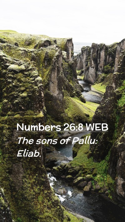 Picture 02 - Numbers 26:8 WEB Mobile Phone Wallpaper - The sons of Pallu: - Mobile Bible Verse Wallpaper