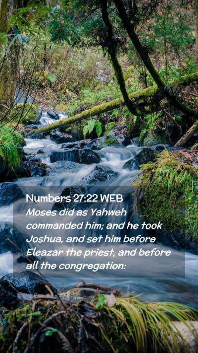 Picture 02 - Numbers 27:22 WEB Mobile Phone Wallpaper - Moses did as Yahweh commanded him; and he took - Mobile Bible Verse Wallpaper
