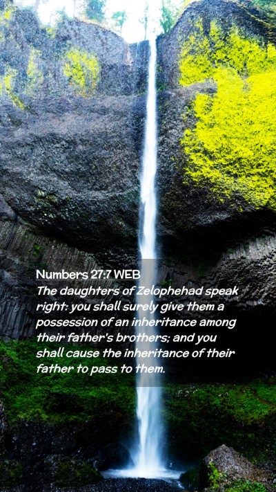 Picture 02 - Numbers 27:7 WEB Mobile Phone Wallpaper - The daughters of Zelophehad speak right: you - Mobile Bible Verse Wallpaper