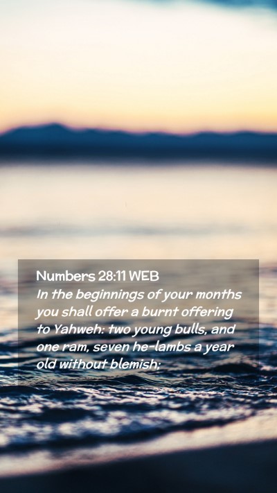Picture 02 - Numbers 28:11 WEB Mobile Phone Wallpaper - In the beginnings of your months you shall offer - Mobile Bible Verse Wallpaper