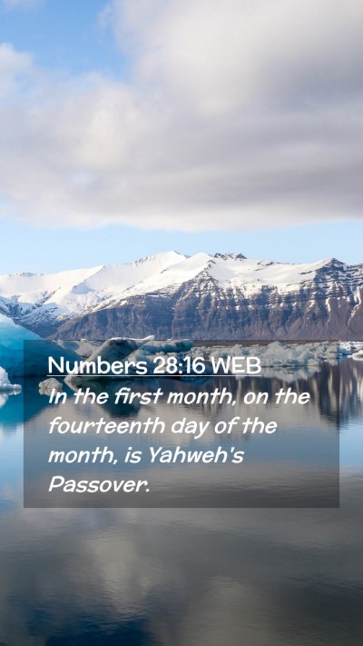 Picture 02 - Numbers 28:16 WEB Mobile Phone Wallpaper - In the first month, on the fourteenth day of the - Mobile Bible Verse Wallpaper