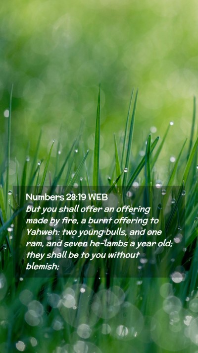 Picture 02 - Numbers 28:19 WEB Mobile Phone Wallpaper - but you shall offer an offering made by fire, a - Mobile Bible Verse Wallpaper