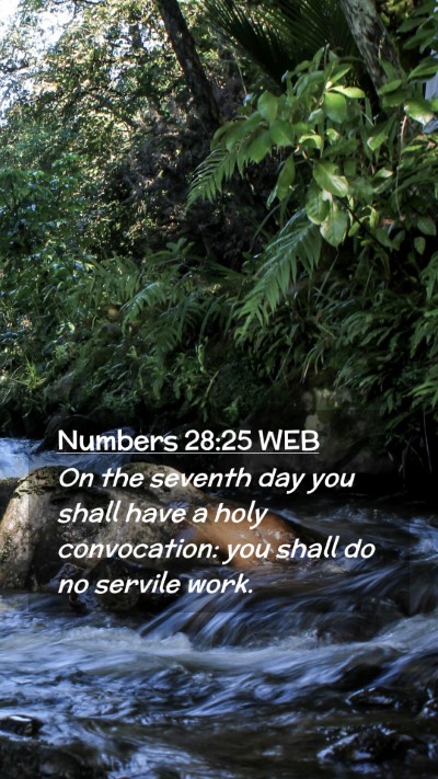 Picture 02 - Numbers 28:25 WEB Mobile Phone Wallpaper - On the seventh day you shall have a holy - Mobile Bible Verse Wallpaper