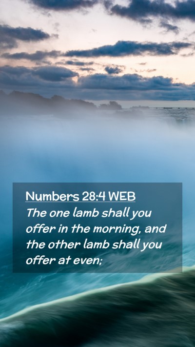 Picture 02 - Numbers 28:4 WEB Mobile Phone Wallpaper - The one lamb shall you offer in the morning, and - Mobile Bible Verse Wallpaper