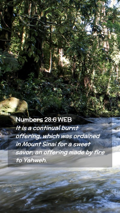 Picture 02 - Numbers 28:6 WEB Mobile Phone Wallpaper - It is a continual burnt offering, which was - Mobile Bible Verse Wallpaper