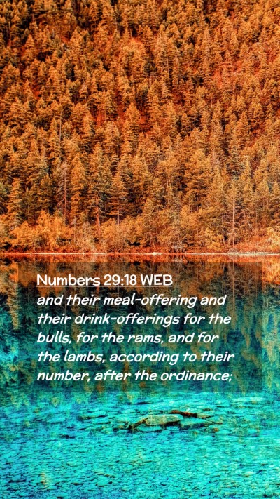 Picture 02 - Numbers 29:18 WEB Mobile Phone Wallpaper - and their meal-offering and their drink-offerings - Mobile Bible Verse Wallpaper