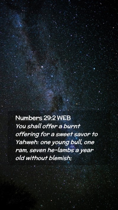 Picture 02 - Numbers 29:2 WEB Mobile Phone Wallpaper - You shall offer a burnt offering for a sweet - Mobile Bible Verse Wallpaper
