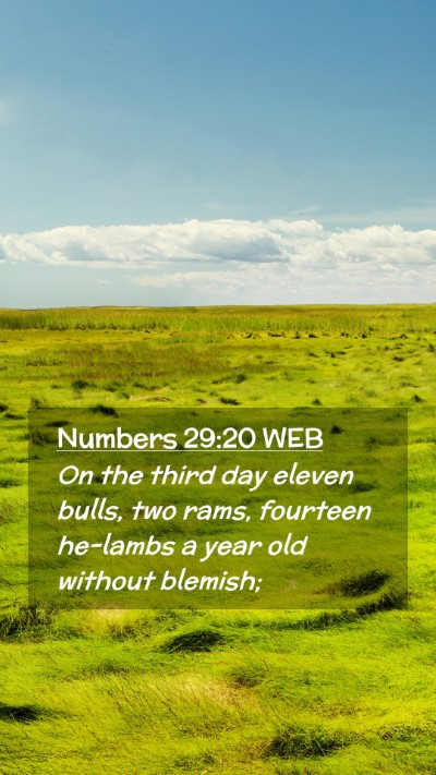 Picture 02 - Numbers 29:20 WEB Mobile Phone Wallpaper - On the third day eleven bulls, two rams, fourteen - Mobile Bible Verse Wallpaper