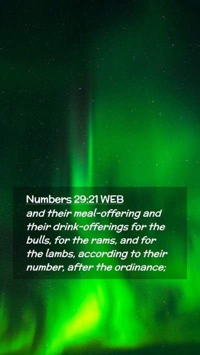 Picture 02 - Numbers 29:21 WEB Mobile Phone Wallpaper - and their meal-offering and their drink-offerings - Mobile Bible Verse Wallpaper
