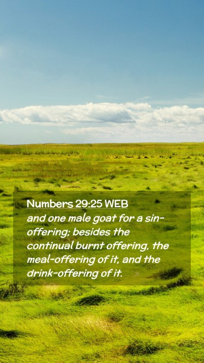 Picture 02 - Numbers 29:25 WEB Mobile Phone Wallpaper - and one male goat for a sin-offering; besides the - Mobile Bible Verse Wallpaper