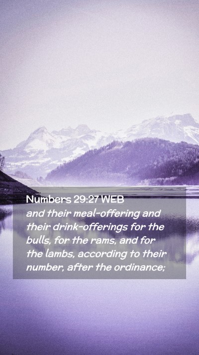Picture 02 - Numbers 29:27 WEB Mobile Phone Wallpaper - and their meal-offering and their drink-offerings - Mobile Bible Verse Wallpaper