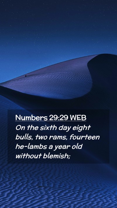 Picture 02 - Numbers 29:29 WEB Mobile Phone Wallpaper - On the sixth day eight bulls, two rams, fourteen - Mobile Bible Verse Wallpaper