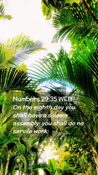 Picture 02 - Numbers 29:35 WEB Mobile Phone Wallpaper - On the eighth day you shall have a solemn - Mobile Bible Verse Wallpaper