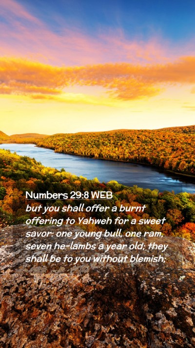 Picture 02 - Numbers 29:8 WEB Mobile Phone Wallpaper - but you shall offer a burnt offering to Yahweh - Mobile Bible Verse Wallpaper