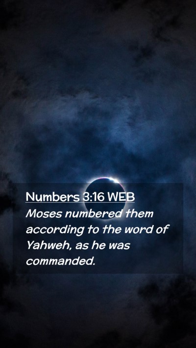 Picture 02 - Numbers 3:16 WEB Mobile Phone Wallpaper - Moses numbered them according to the word of - Mobile Bible Verse Wallpaper