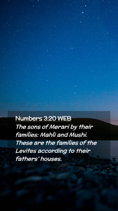 Picture 02 - Numbers 3:20 WEB Mobile Phone Wallpaper - The sons of Merari by their families: Mahli and - Mobile Bible Verse Wallpaper