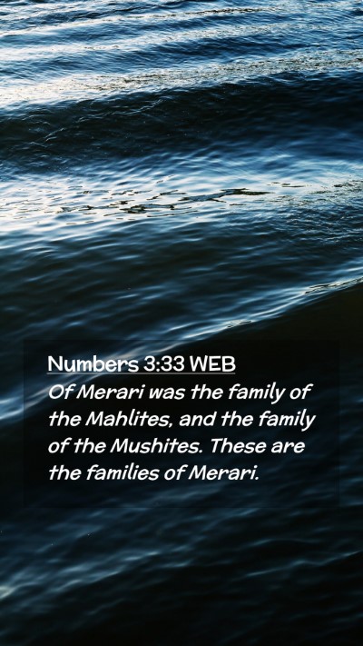 Picture 02 - Numbers 3:33 WEB Mobile Phone Wallpaper - Of Merari was the family of the Mahlites, and the - Mobile Bible Verse Wallpaper