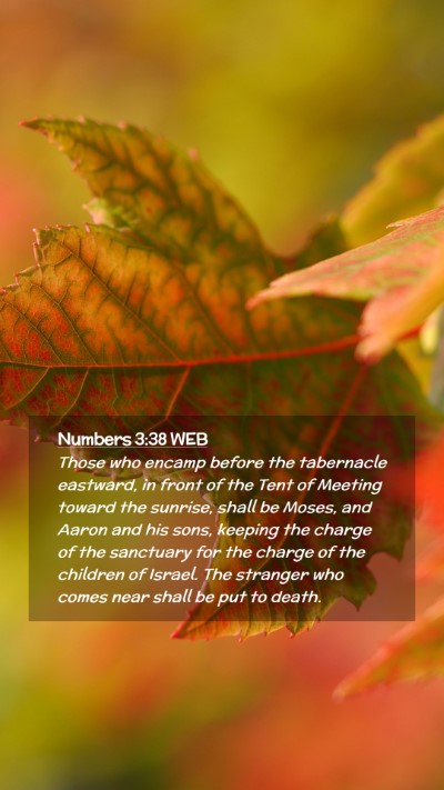 Picture 02 - Numbers 3:38 WEB Mobile Phone Wallpaper - Those who encamp before the tabernacle eastward, - Mobile Bible Verse Wallpaper