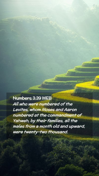Picture 02 - Numbers 3:39 WEB Mobile Phone Wallpaper - All who were numbered of the Levites, whom Moses - Mobile Bible Verse Wallpaper