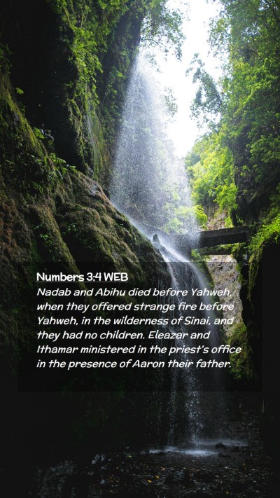 Picture 02 - Numbers 3:4 WEB Mobile Phone Wallpaper - Nadab and Abihu died before Yahweh, when they - Mobile Bible Verse Wallpaper