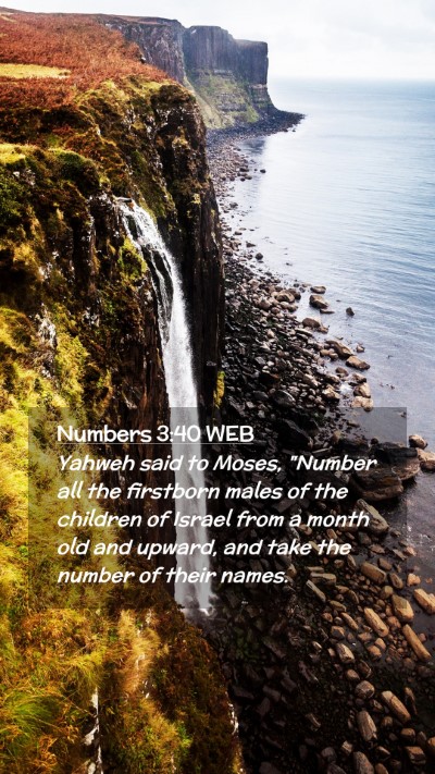 Picture 02 - Numbers 3:40 WEB Mobile Phone Wallpaper - Yahweh said to Moses, 