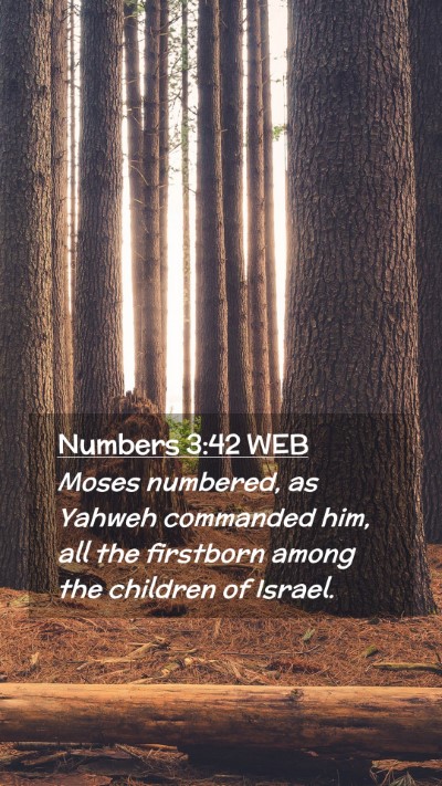 Picture 02 - Numbers 3:42 WEB Mobile Phone Wallpaper - Moses numbered, as Yahweh commanded him, all the - Mobile Bible Verse Wallpaper