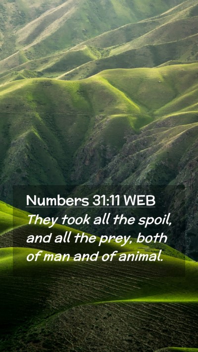 Picture 02 - Numbers 31:11 WEB Mobile Phone Wallpaper - They took all the spoil, and all the prey, both - Mobile Bible Verse Wallpaper