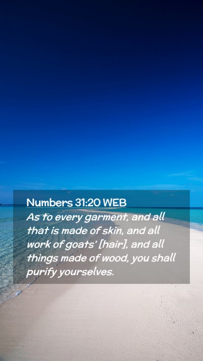 Picture 02 - Numbers 31:20 WEB Mobile Phone Wallpaper - As to every garment, and all that is made of - Mobile Bible Verse Wallpaper